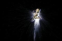 mortal engine 4491.jpg